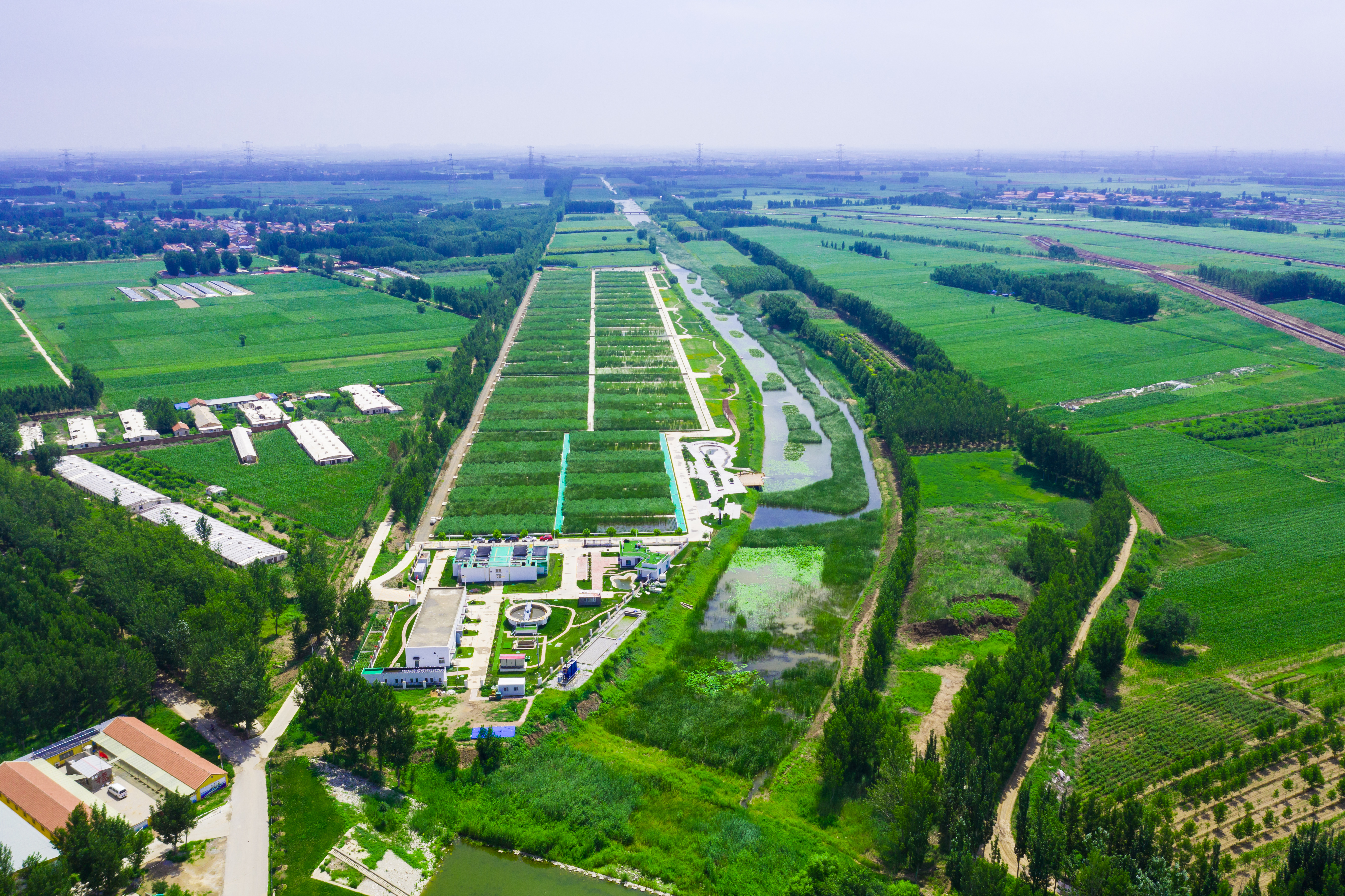 20211203-环境学院牵头承担的“十三五”水专项京津冀版块廊坊项目通过综合绩效评价-拍摄者不详-龙河人工湿地示范工程实景图.jpg
