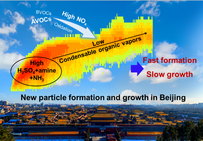 20220721-环境学院蒋靖坤研究组揭示城市大气环境中新粒子生长缓慢的原因-李晓晓-北京大气新粒子快速生成与缓慢生长示意图png