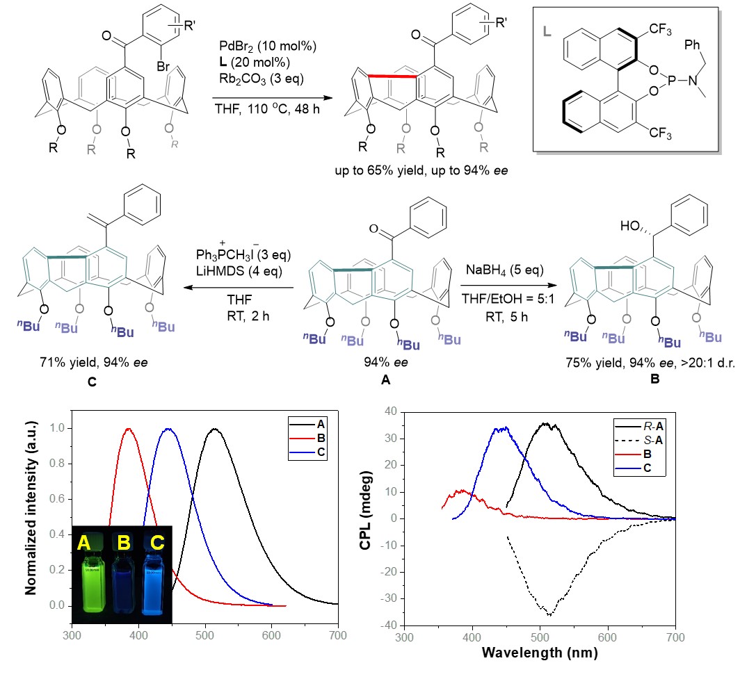20230119-催化不对称对映选择性去对称化反应合成固有手性杯芳烃-佟硕-无.jpg