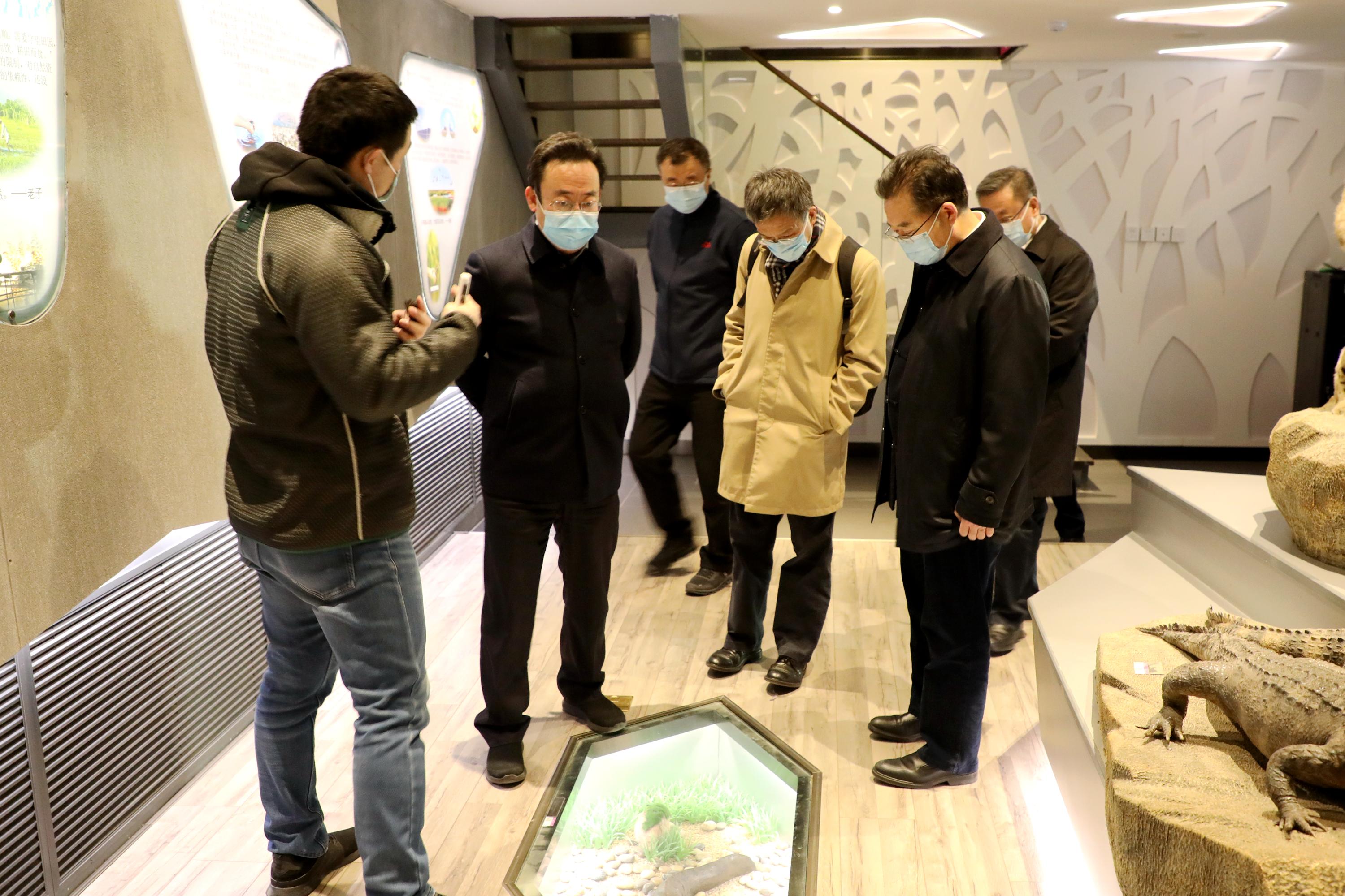 图15:参观标本馆.jpg