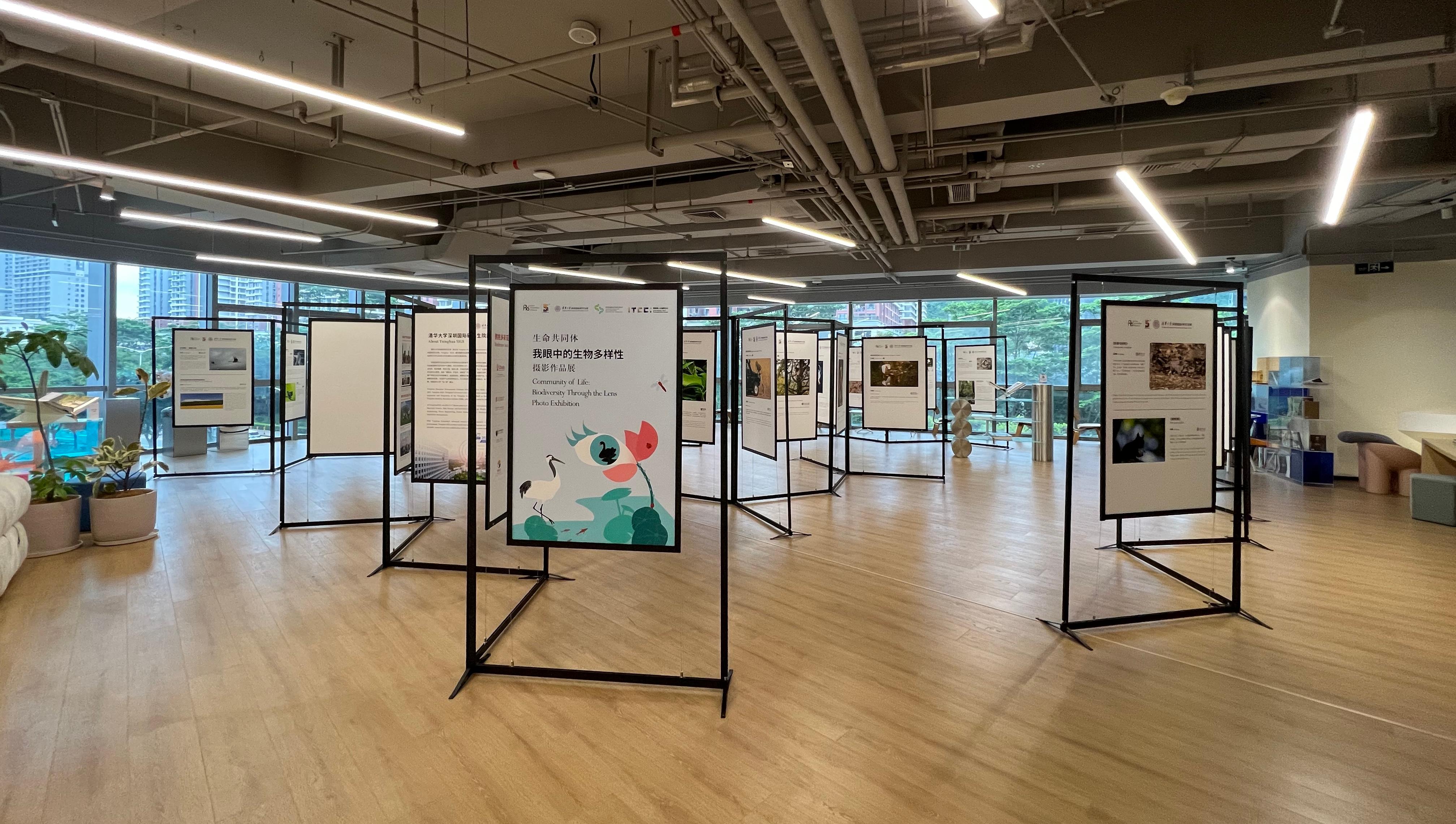 20220607-展览现场-深圳国际研究生院-深圳国际研究生院.jpg