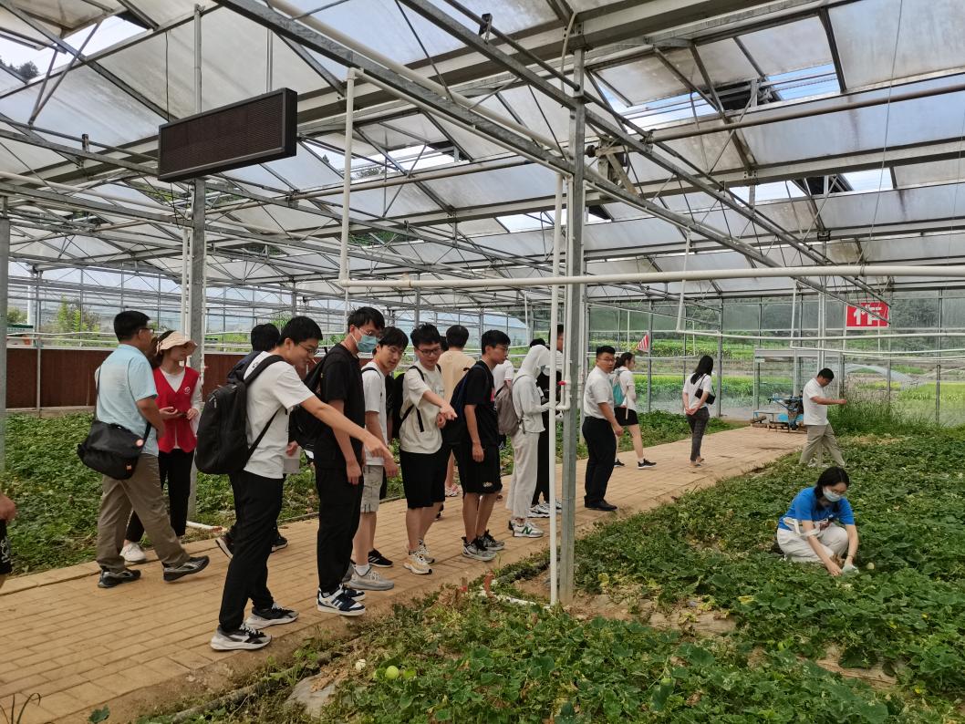 清华大学“林枫计划”师生赴江西赣县区调研实践