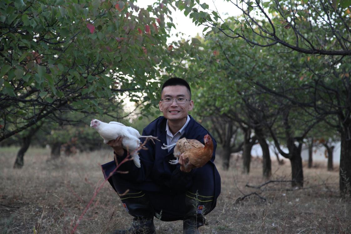 东谷它溜达鸡 东谷它溜达鸡