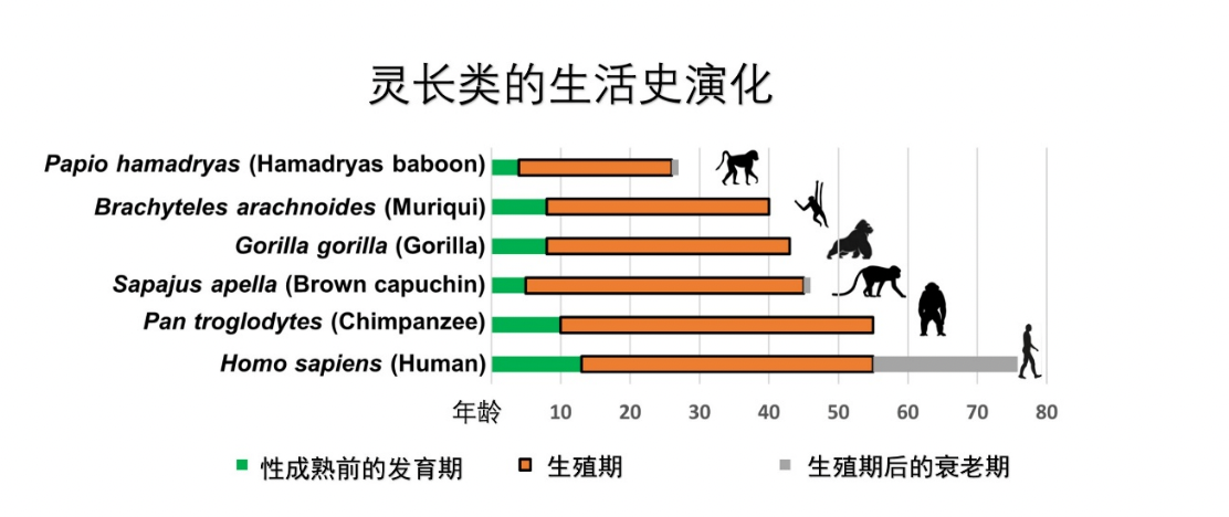 20240427-药学院-学院供稿-图2.png