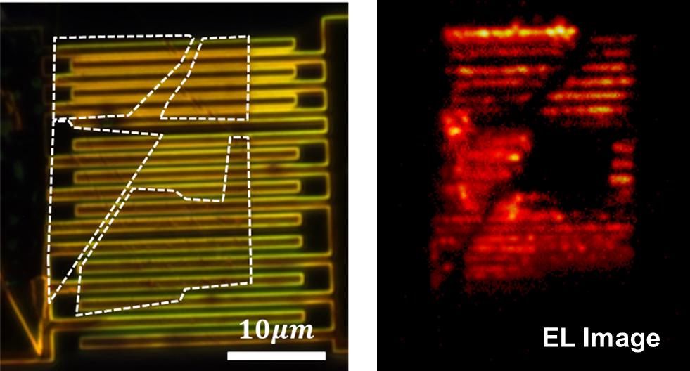 20220215-图3-李永卓-发光器件照片及荧光成像，其中发光材料为不连续的单层二硒化钨.png