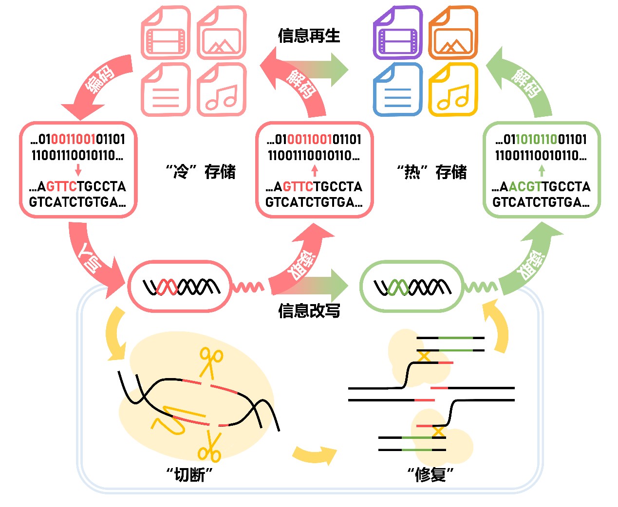 20220810-科研发现-刘凯-无.jpg 20220810-科研发现-刘凯-无.jpg