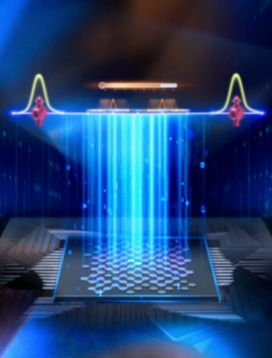 20260115-亮点-无-2png