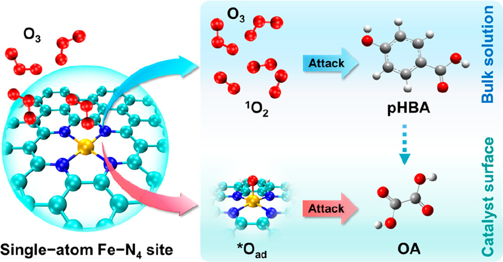 20230310-环境学院张潇源课题组在单原子催化氧化污水深度处理领域取得新进展-任腾飞-单原子Fe-N4位点催化臭氧选择性诱导非自由基过程.jpeg