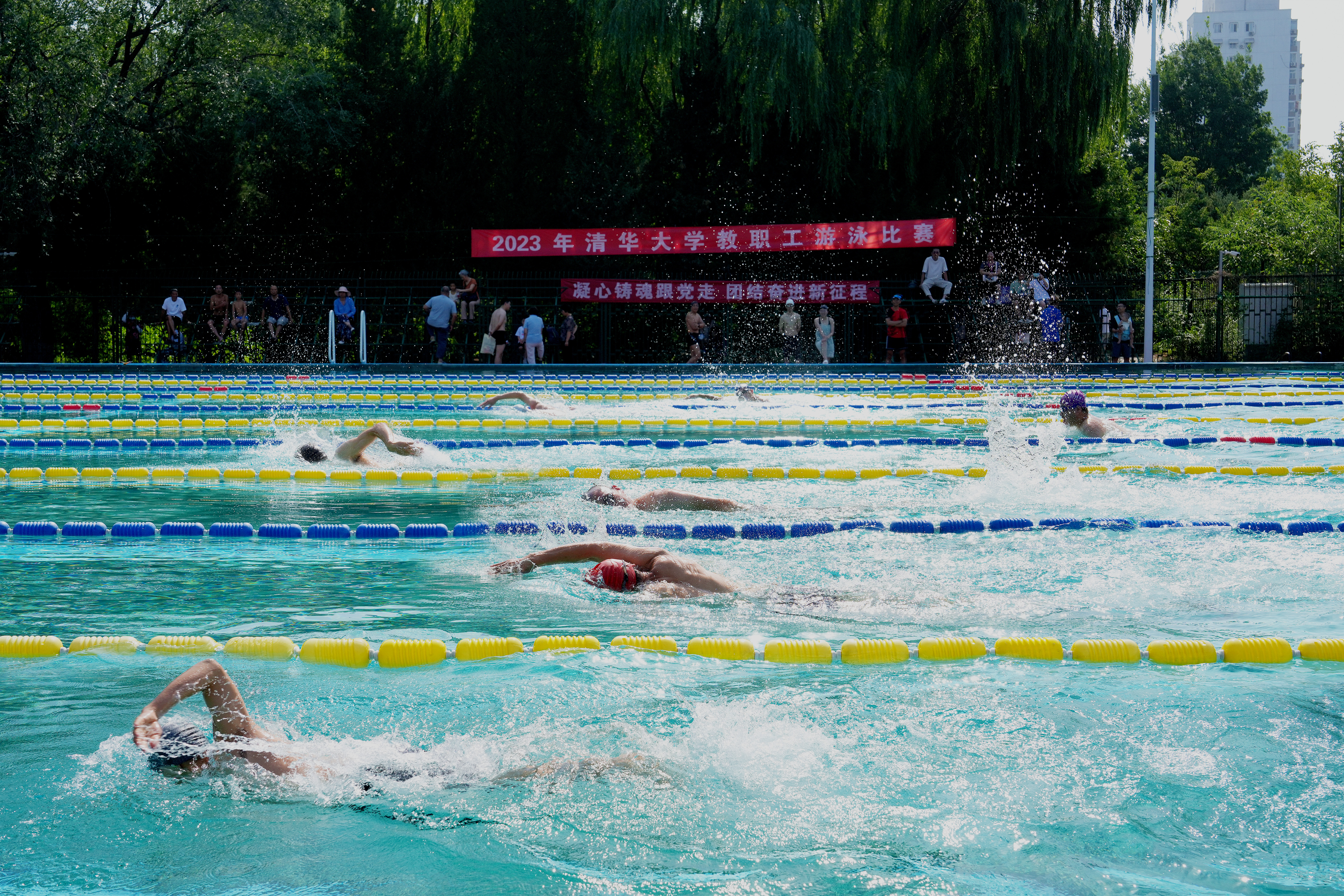20230701-2023教职工游泳比赛-杨蕾-工会 (3).jpg