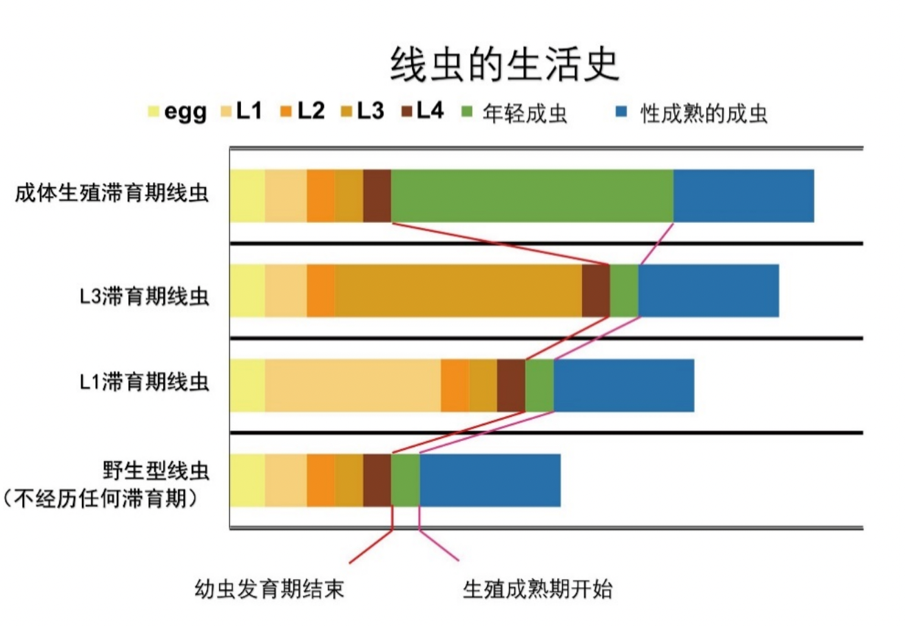 20240427-药学院-学院供稿-图6.png