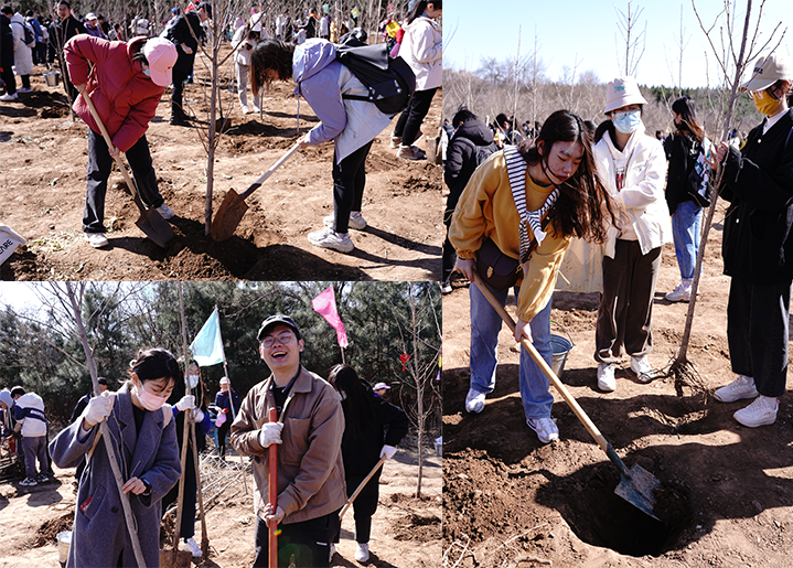 20230312-清华大学师生红螺山植树活动圆满结束-教研院-师生们热火朝天地植树4.png