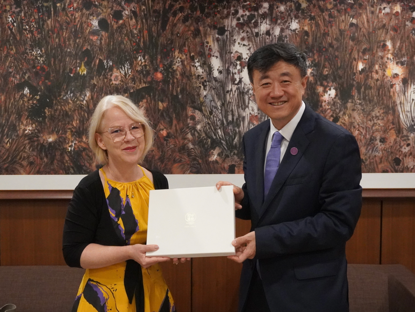 杨斌会见联合国开发计划署驻华代表白雅婷一行
