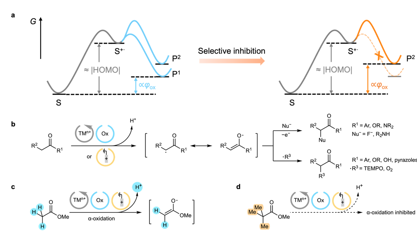 高電圧リチウム電池向け非フッ素系新電解液を開発 (Professor Qiang Zhang&rsquo;s group develops novel non-fluorinated electrolytes for high-voltage lithium batteries)