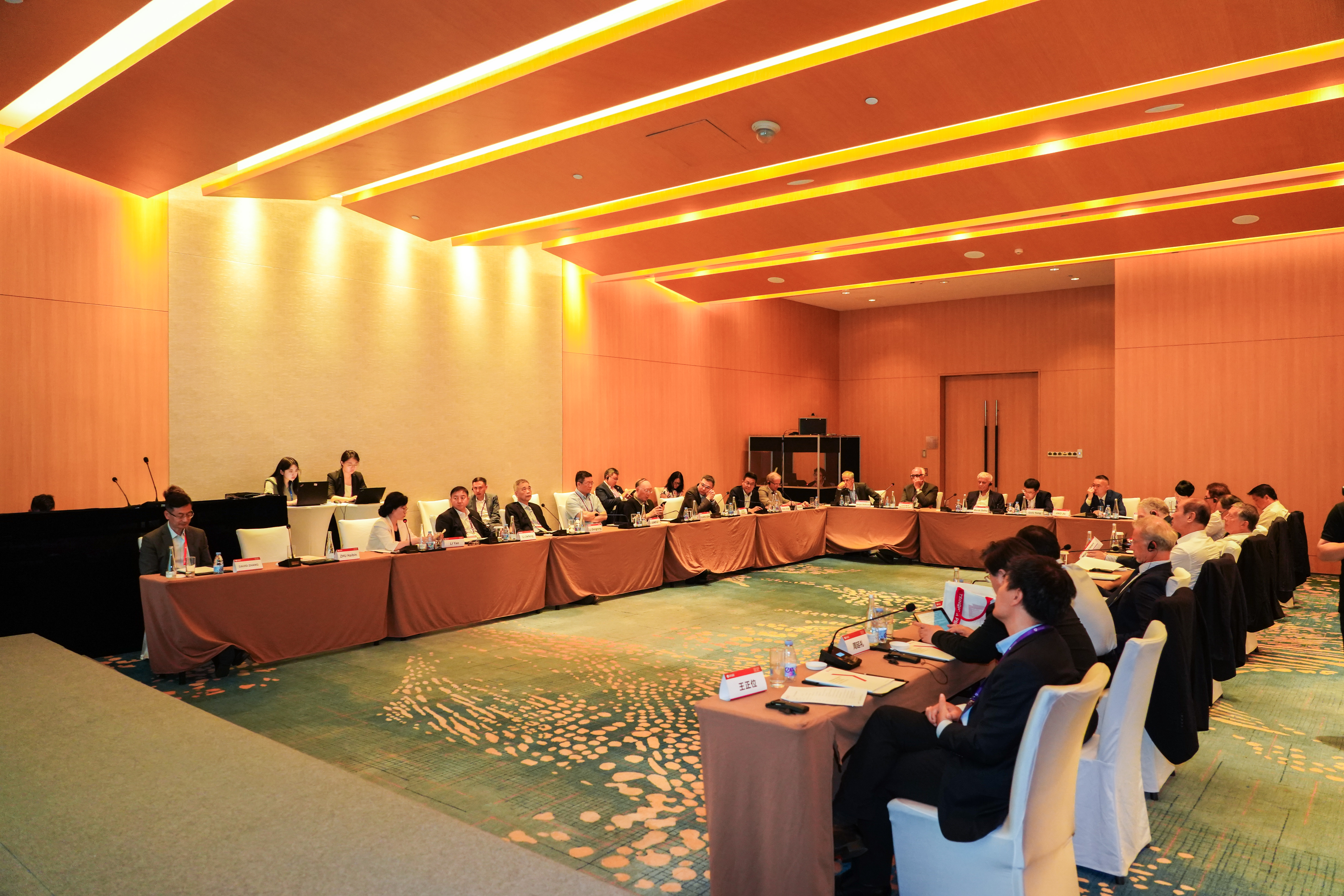 金融学院国际战略咨询会议.jpg