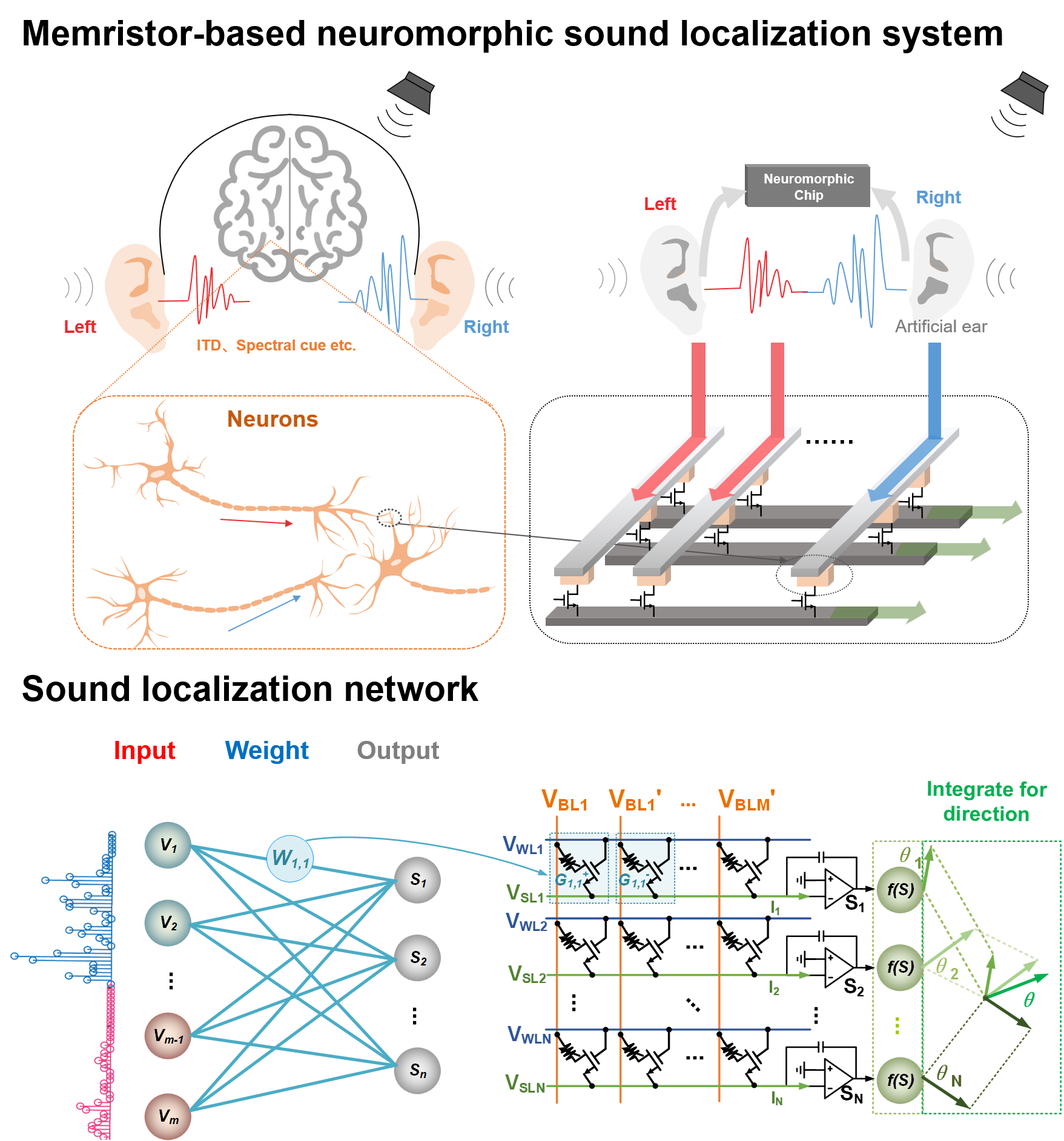 20220607-科研进展-高滨-受大脑机制启发，基于忆阻器阵列的声音定位网络硬件实现方案.png