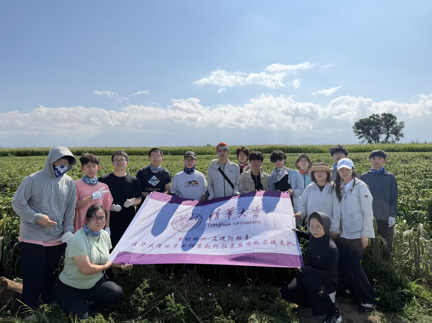 20260728-清华大学“乡村振兴：走进阿拉善”赴阿拉善盟思政实践支队进行田间劳动-杨雨辰-在任小米种植基地劳动.jpg