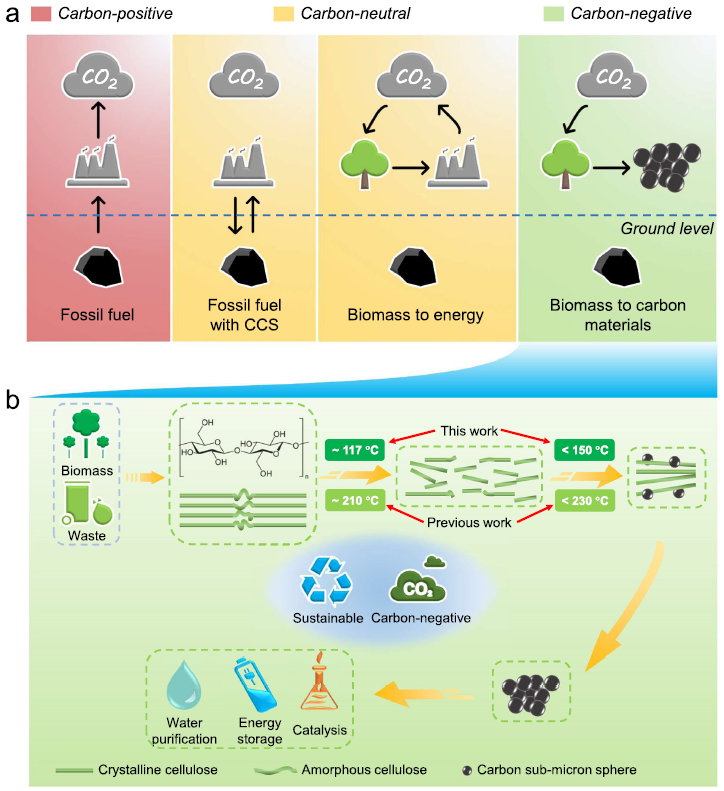 20220628-nature论文-于士杰-负碳排放的纤维素生成亚微米碳球示意图.png