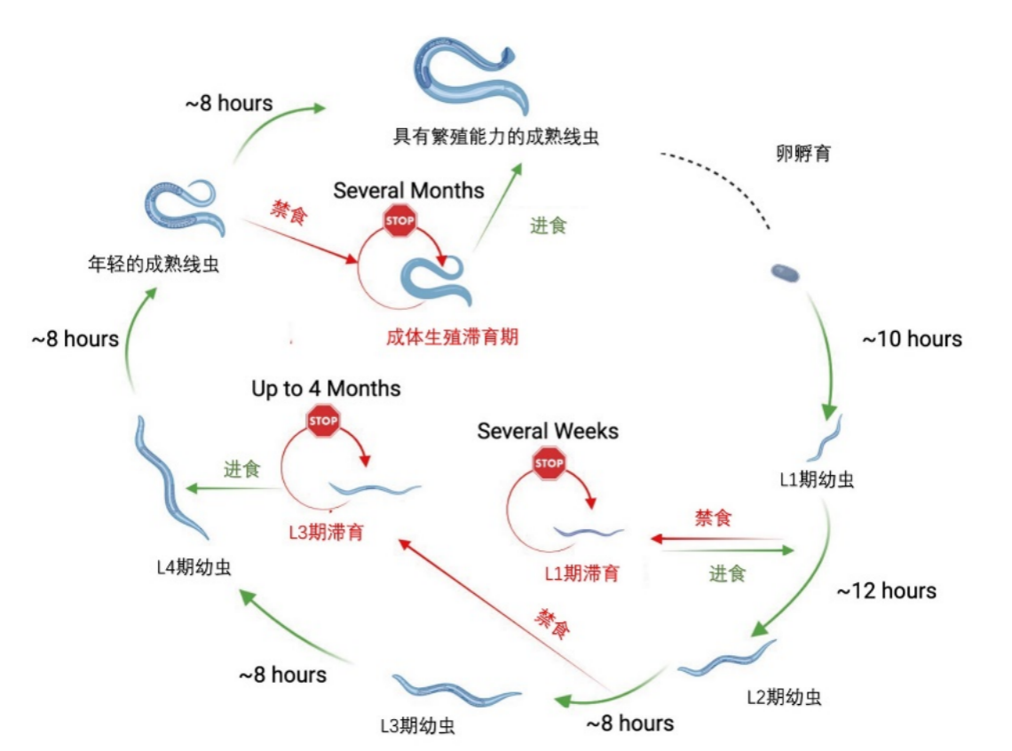 20240427-药学院-学院供稿-图5.png
