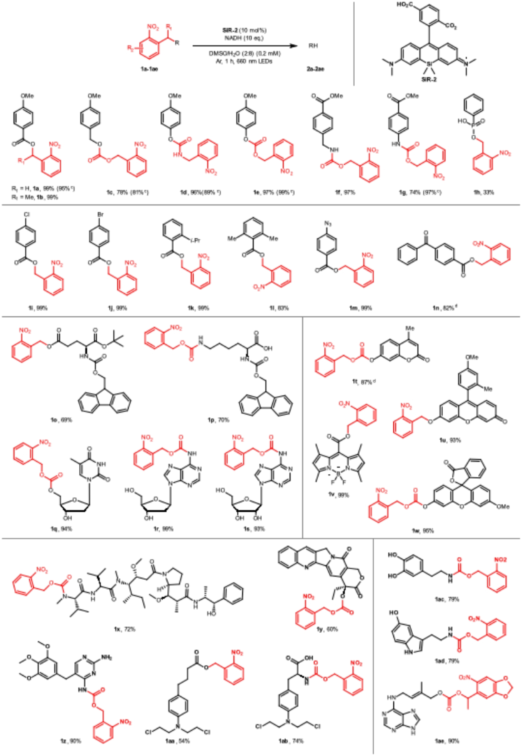 20250623-药学院-学院供稿-图2.jpg