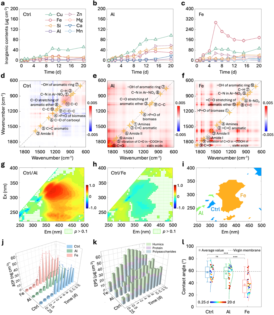 20260319-环境学院黄霞教授团队揭示混凝预处理可能加重反渗透膜污染的新机理-丁昊杰-图2 RO膜污染层组成及其动态演化特征.png
