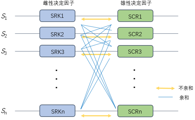 image001.png