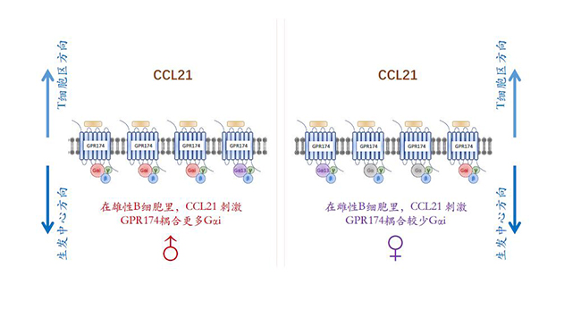 微信图片_20191226111742.jpg