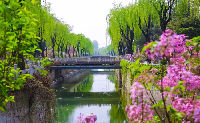 微信图片_20191107093958.jpg