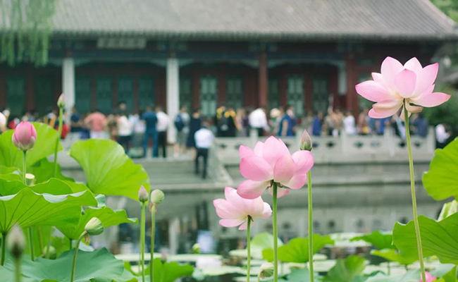 微信图片_20191107094134.jpg